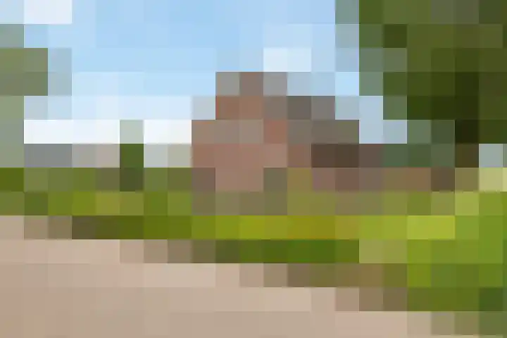 Geer 33 Nieuwland thumbnail 81