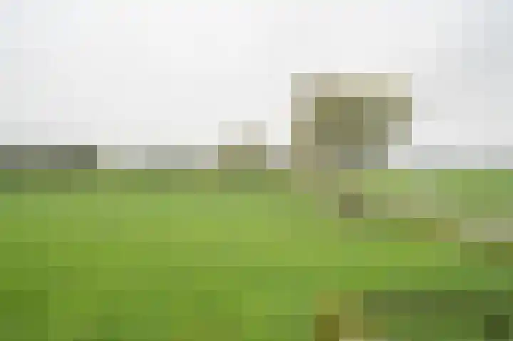 Geer 53 Nieuwland thumbnail 17