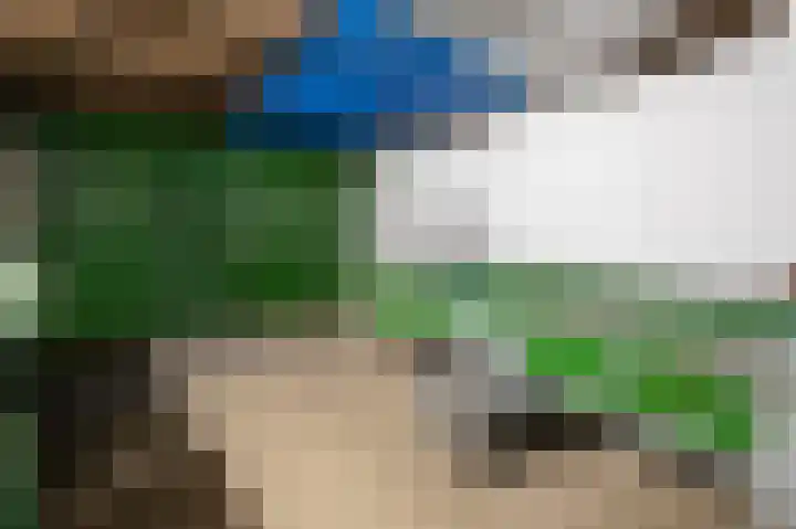 Geer 53 Nieuwland thumbnail 23