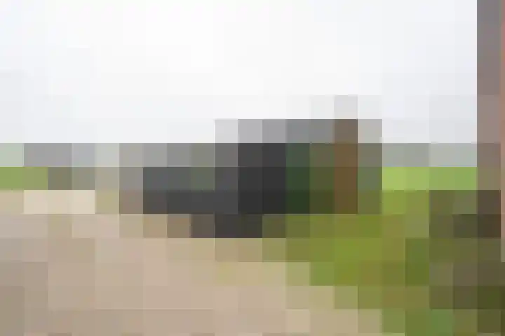 Geer 53 Nieuwland thumbnail 30