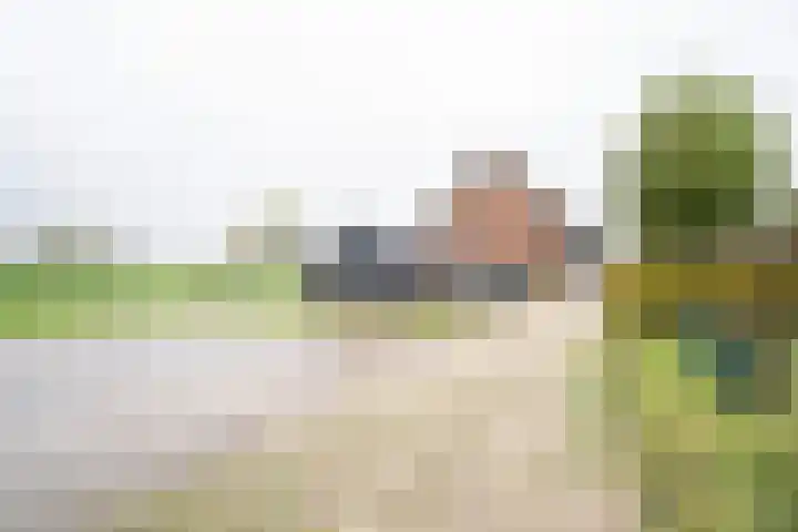 Geer 53 Nieuwland thumbnail 32