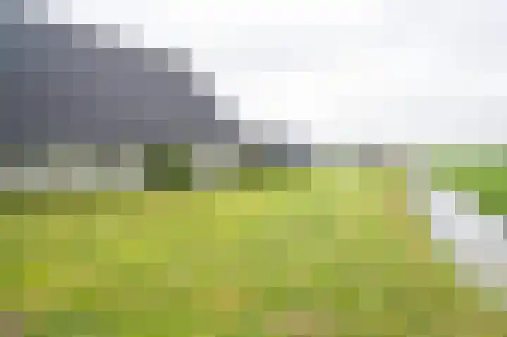 Geer 53 Nieuwland thumbnail 38
