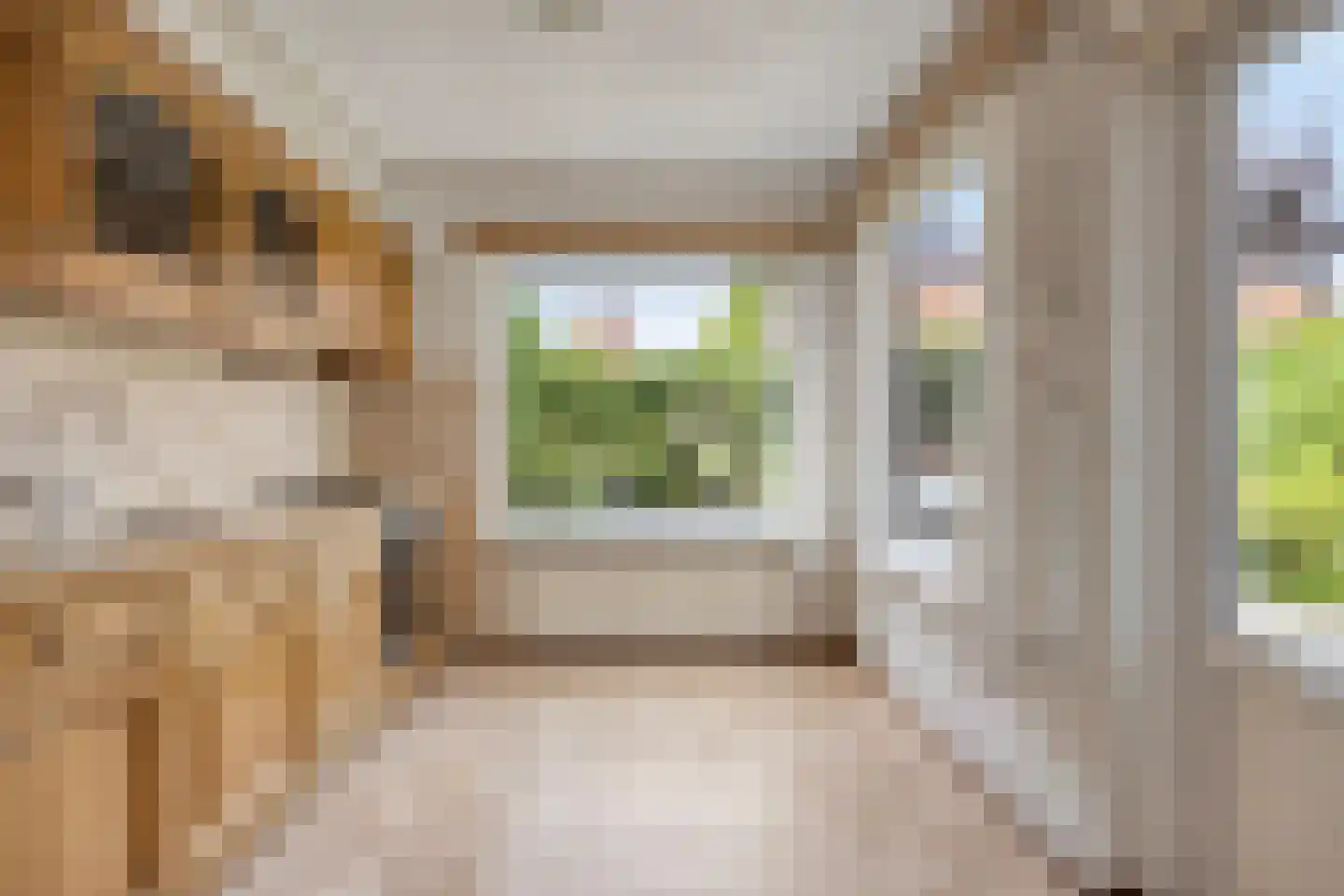 Geer 6 Dongen thumbnail 19