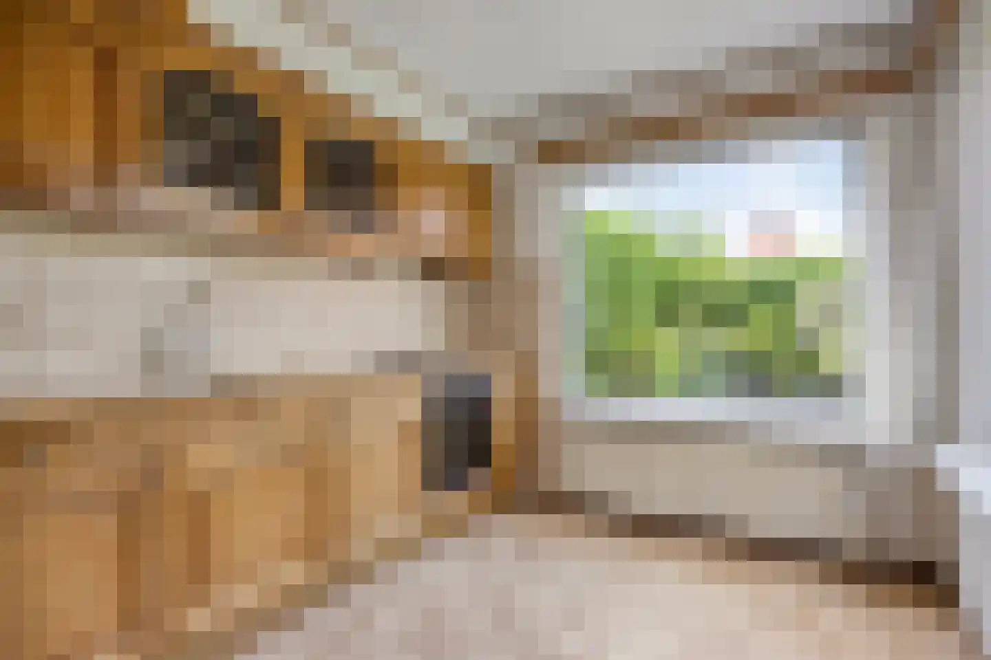 Geer 6 Dongen thumbnail 20
