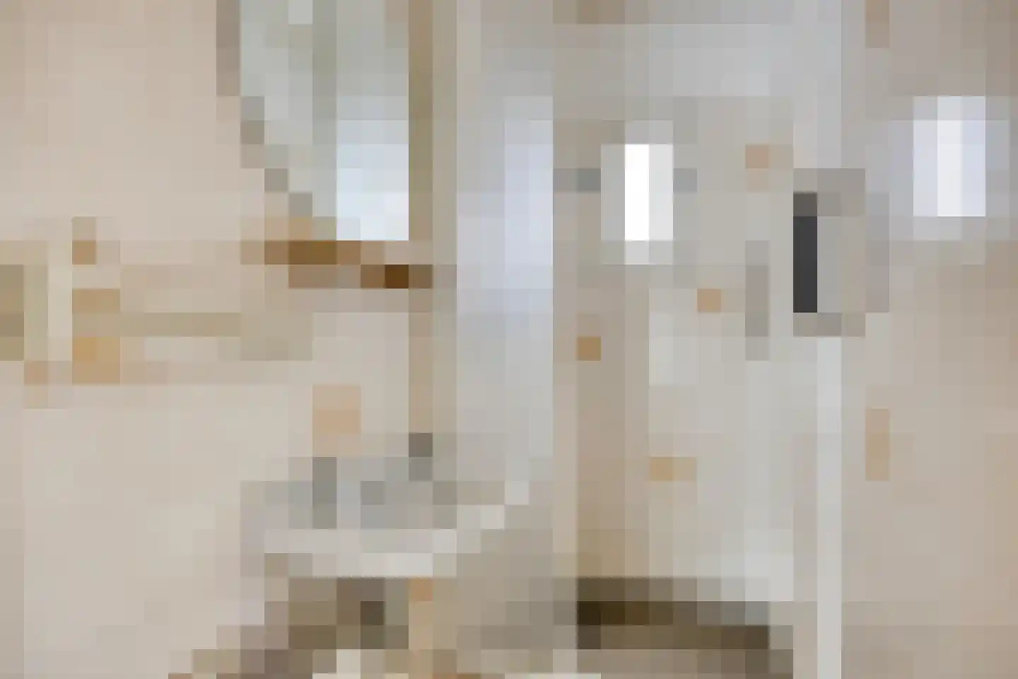 Geer 6 Dongen thumbnail 28