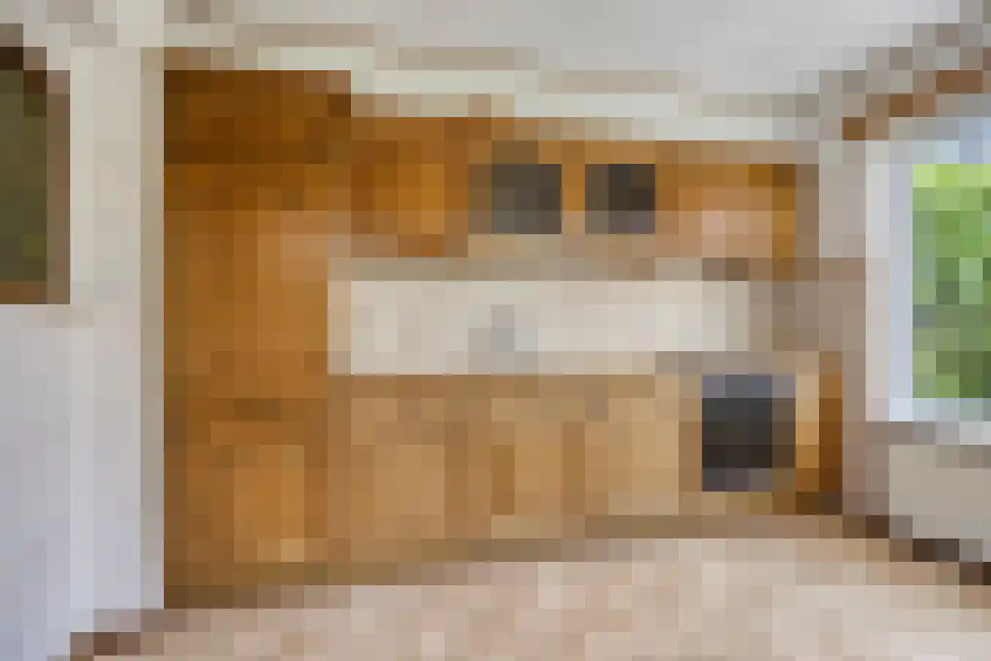 Geer 6 Dongen foto 3