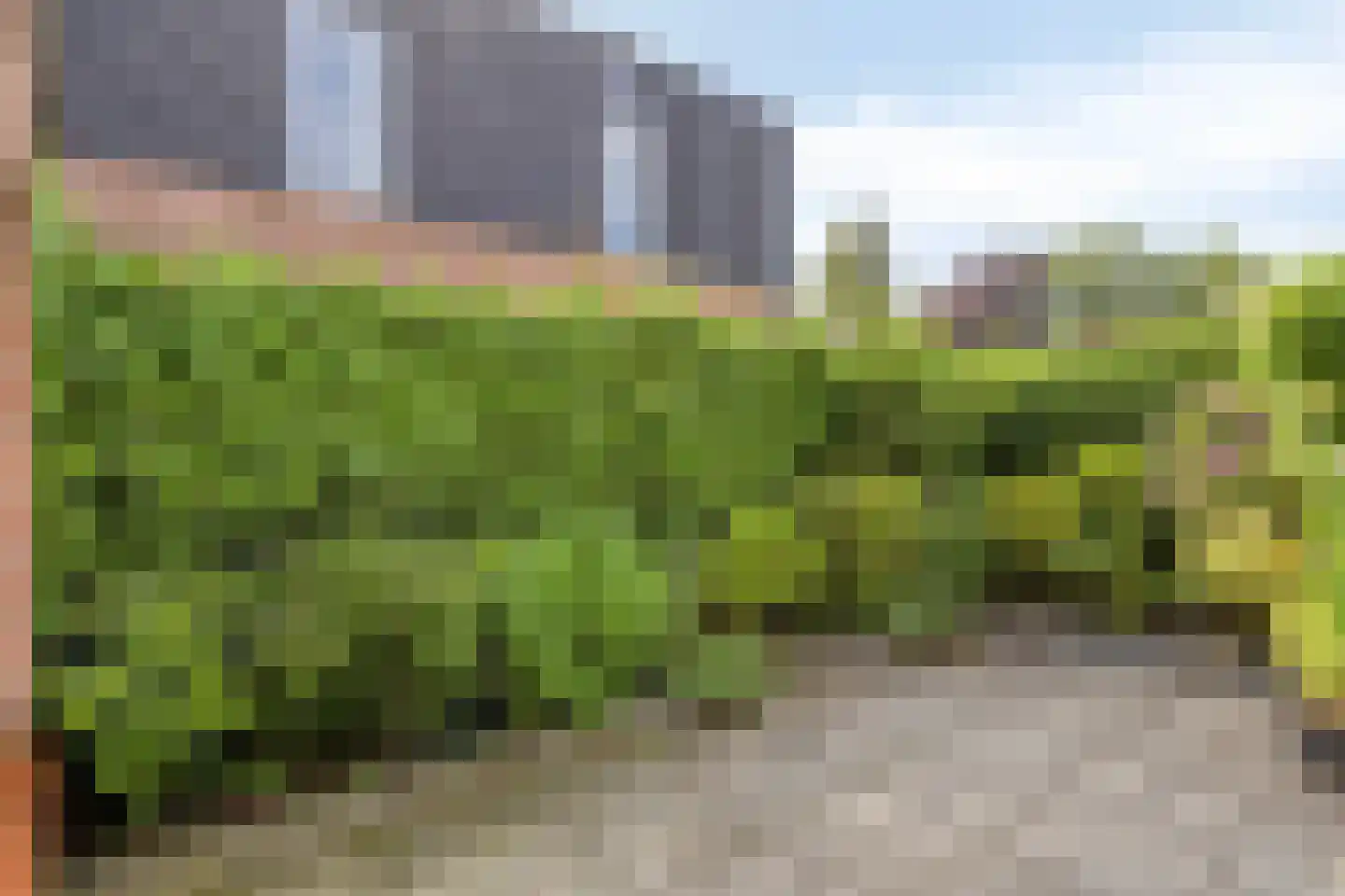 Geer 6 Dongen thumbnail 41
