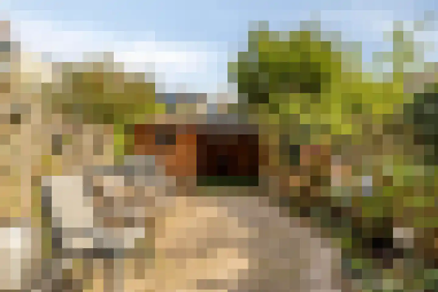 Geer 6 Eindhoven thumbnail 28