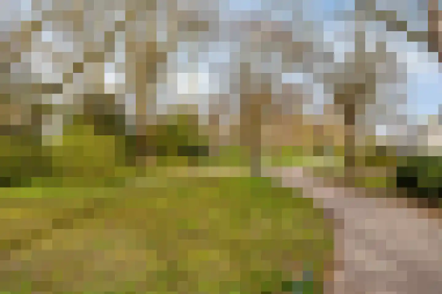 Geer 6 Eindhoven thumbnail 37