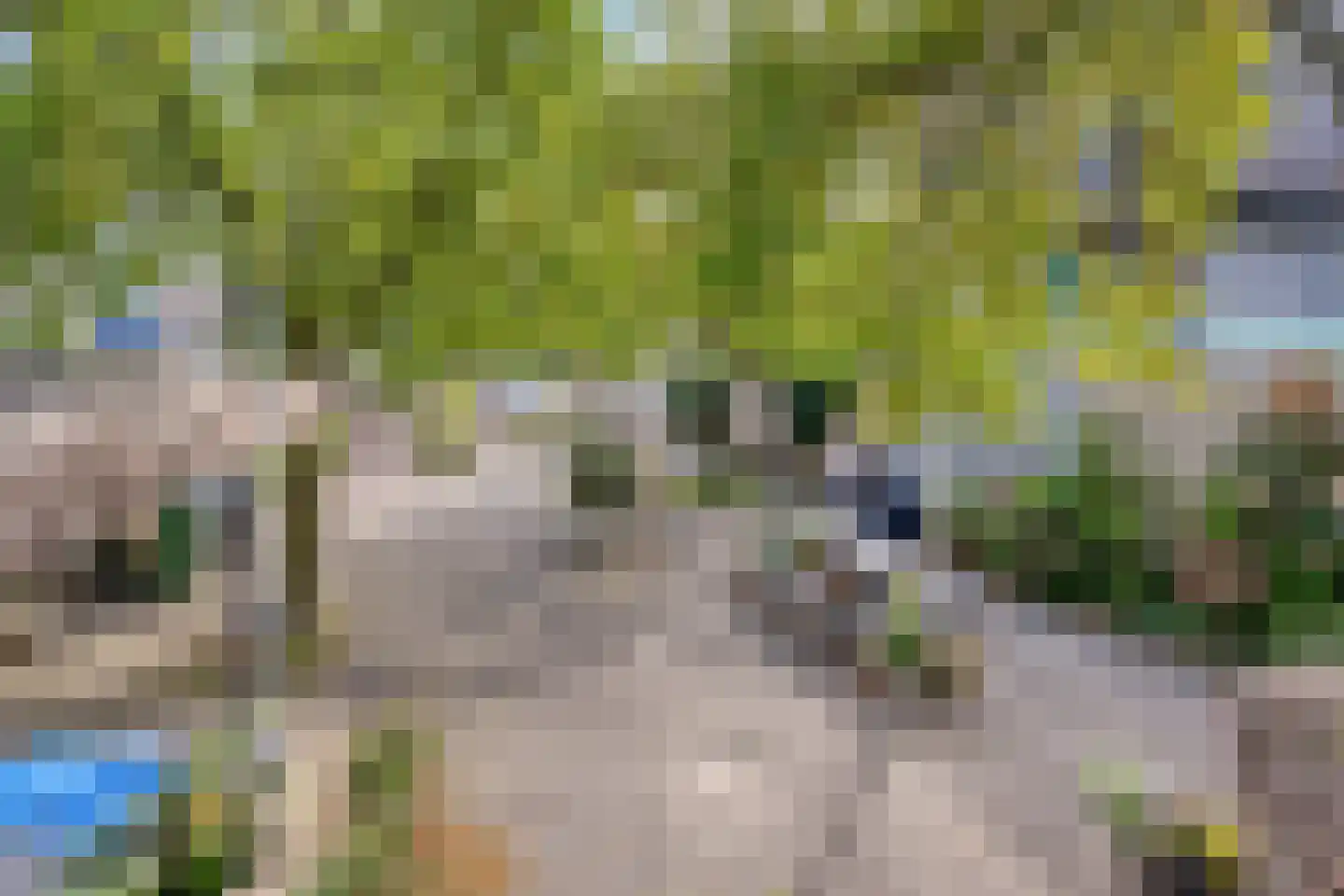 Geer 7 Eindhoven thumbnail 41