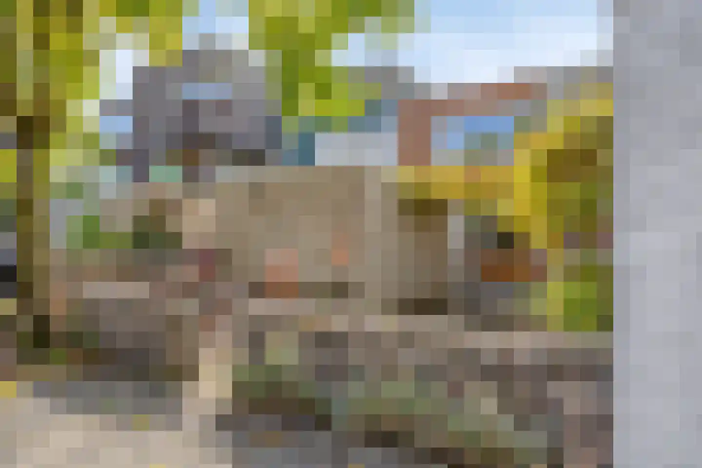 Geer 7 Eindhoven thumbnail 44