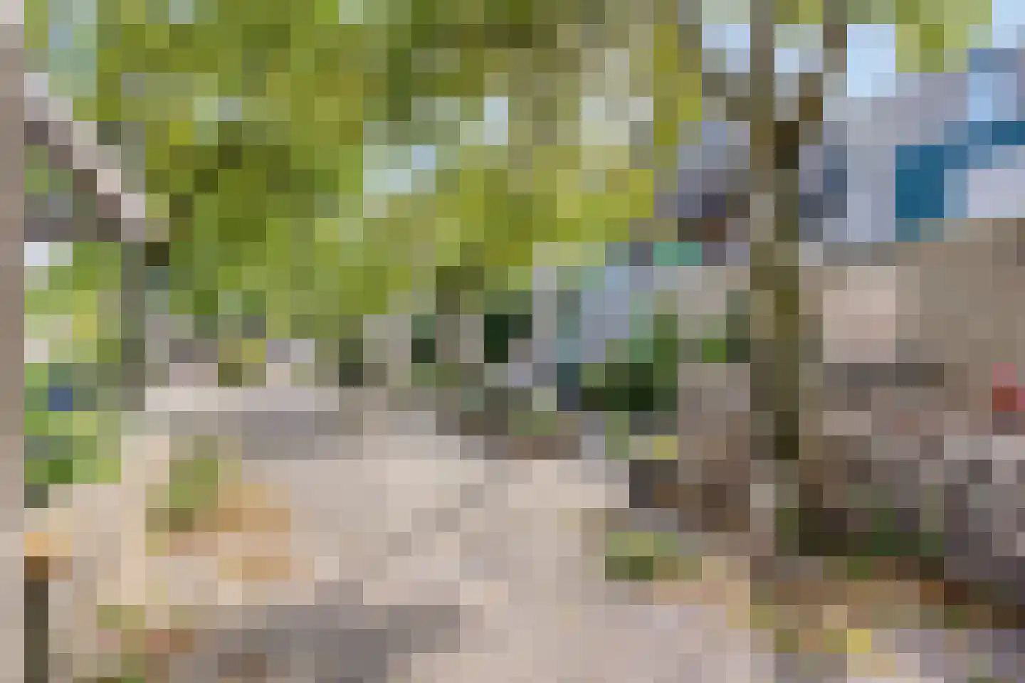 Geer 7 Eindhoven thumbnail 5