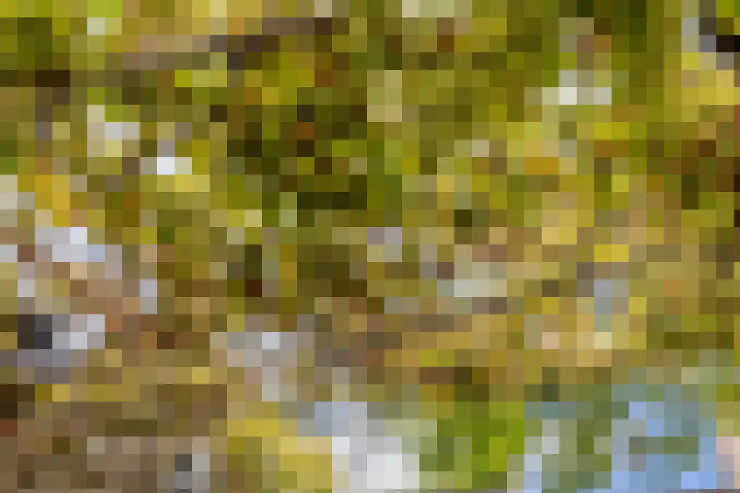 Geer 7 Eindhoven thumbnail 8