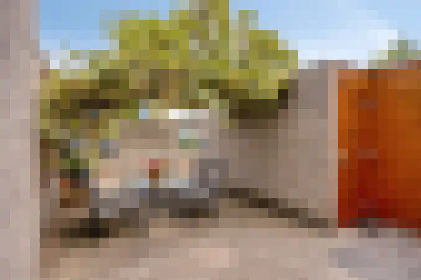 Geer 7 Eindhoven thumbnail 9