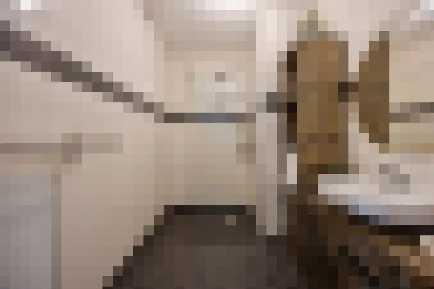Geer Ban 137 Amsterdam thumbnail 14