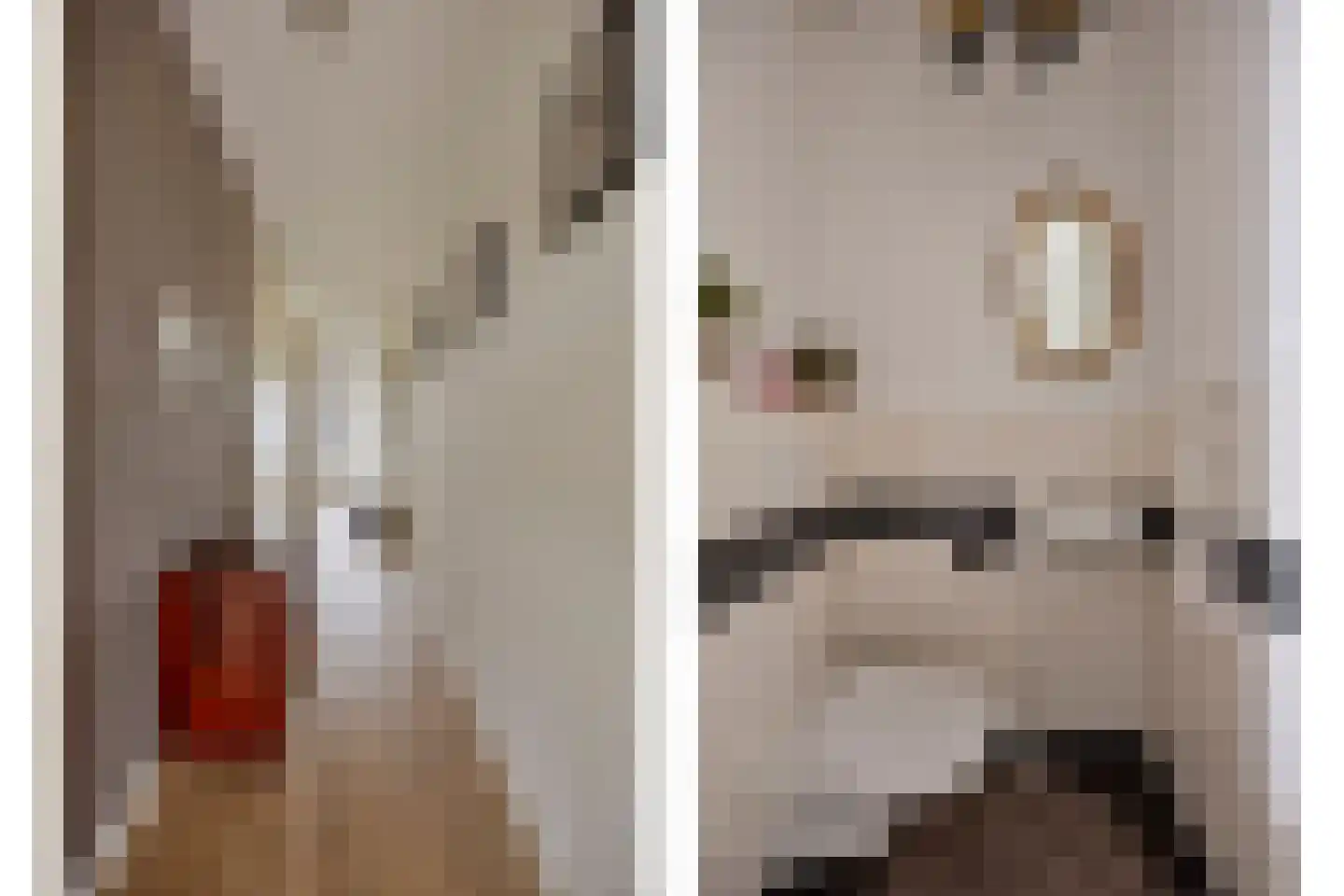 Geer Ban 137 Amsterdam thumbnail 16