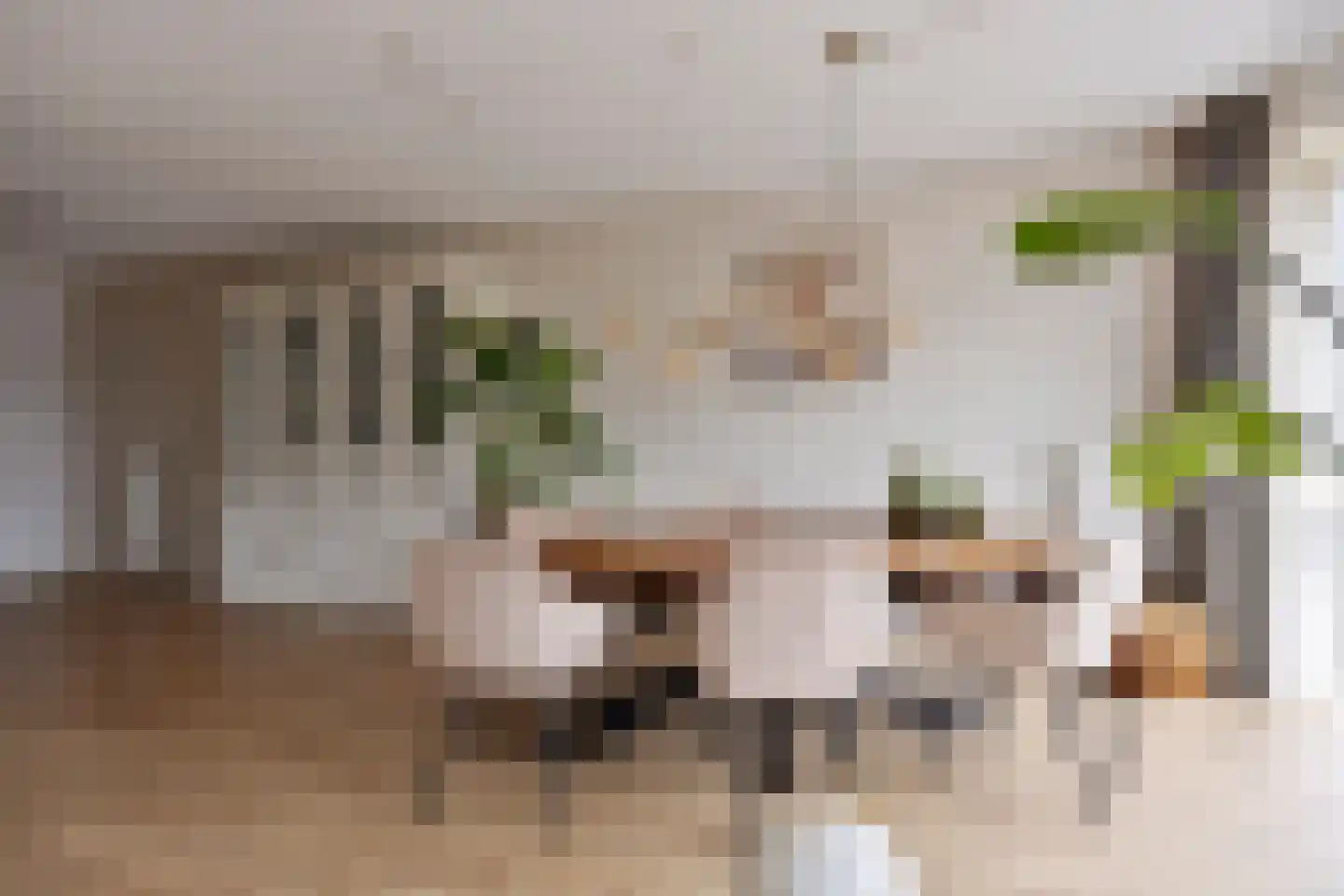 Geer Ban 137 Amsterdam thumbnail 6