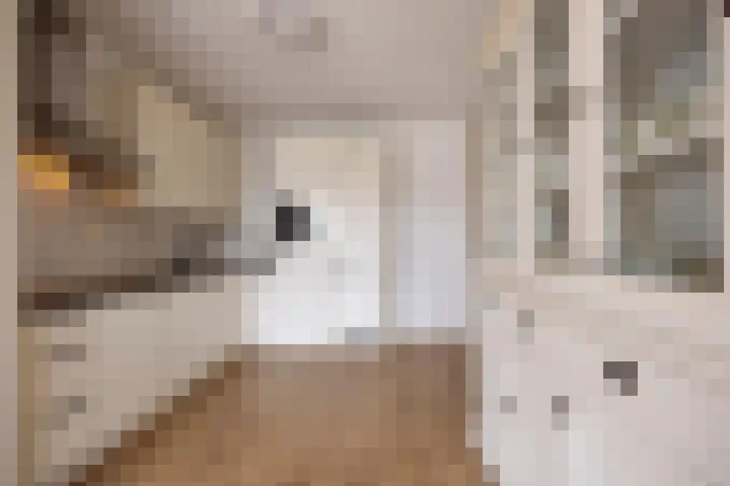 Geer Ban 137 Amsterdam thumbnail 7