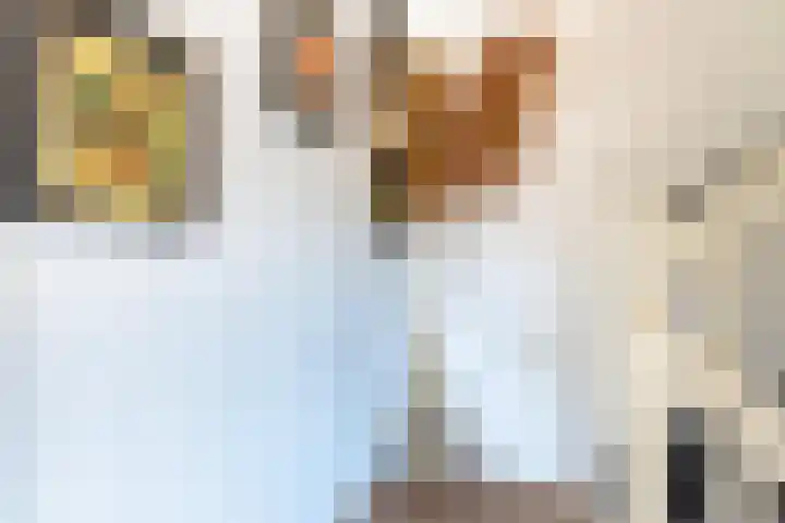 Geer Ban 69 Amsterdam thumbnail 10