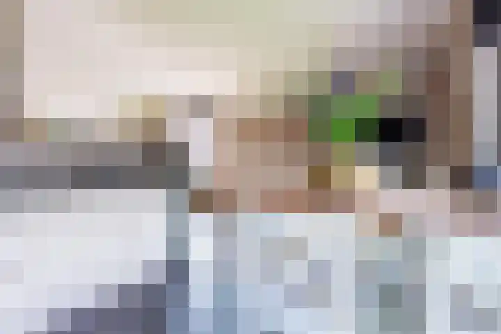 Geer Ban 69 Amsterdam thumbnail 22