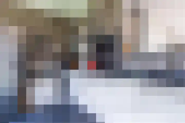 Geer Ban 69 Amsterdam thumbnail 23