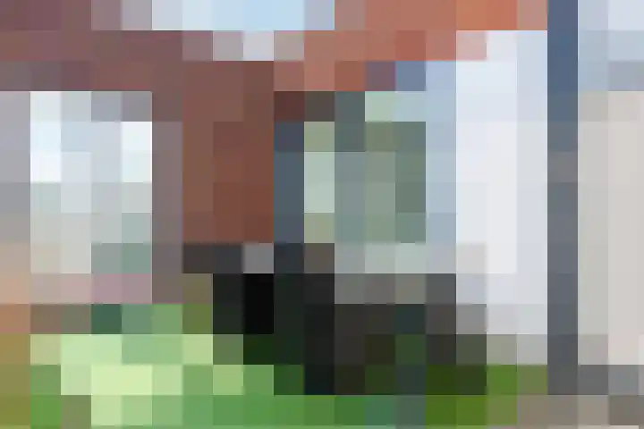 Geer Ban 69 Amsterdam thumbnail 46