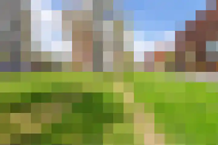Geer Ban 69 Amsterdam thumbnail 57