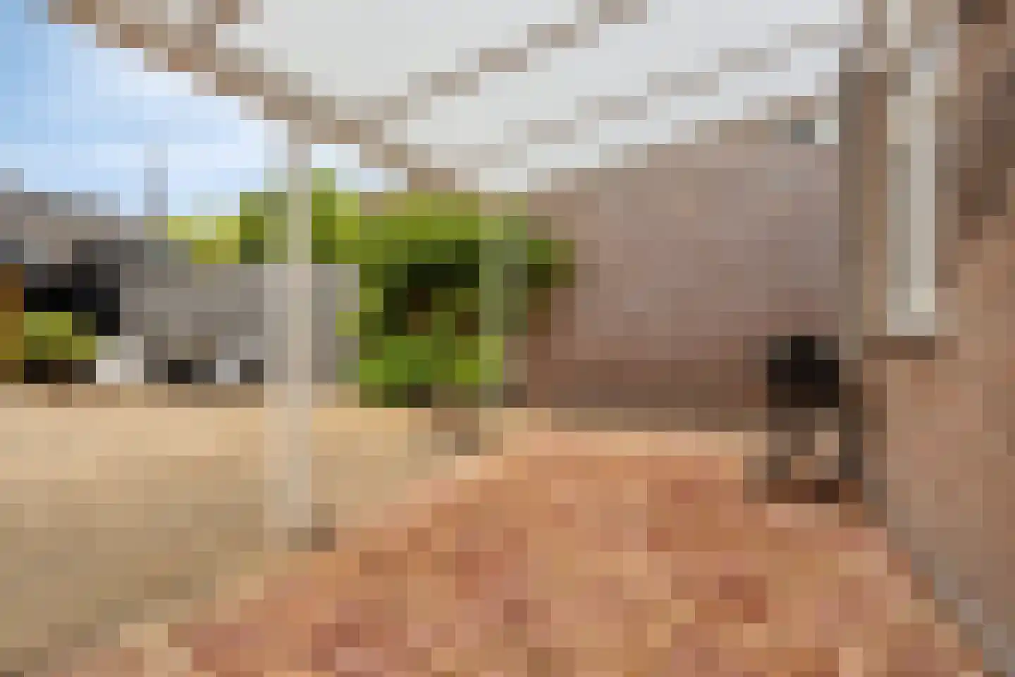 Geerakker 15 Wagenberg thumbnail 36
