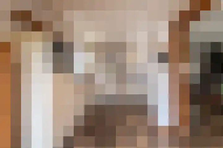 Geerakker 5 Prinsenbeek thumbnail 10