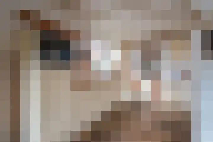 Geerakker 5 Prinsenbeek thumbnail 11