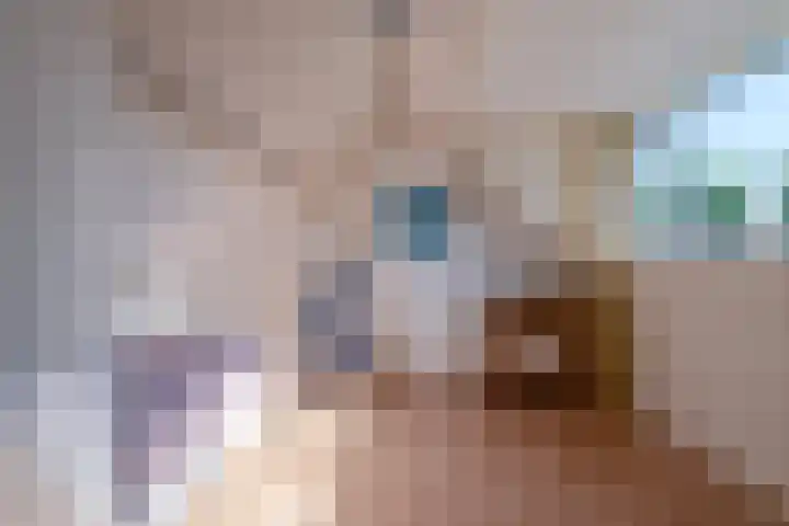 Geerakker 5 Prinsenbeek thumbnail 19