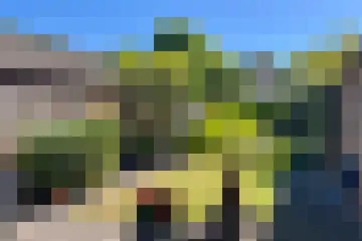 Geerakker 5 Prinsenbeek thumbnail 20