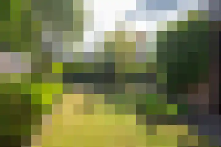 Geerakker 5 Prinsenbeek thumbnail 21