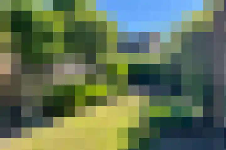 Geerakker 5 Prinsenbeek thumbnail 22
