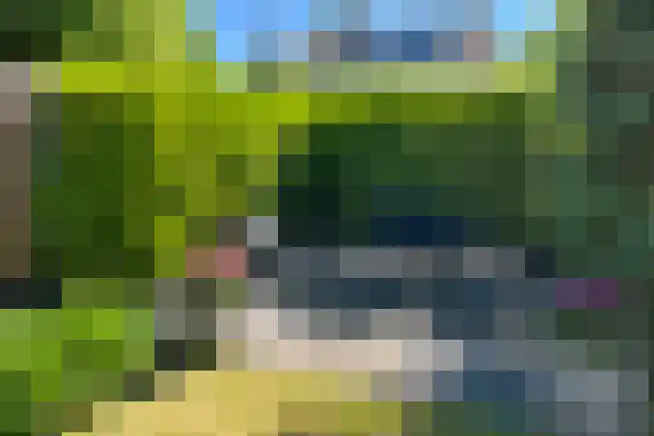 Geerakker 5 Prinsenbeek thumbnail 23