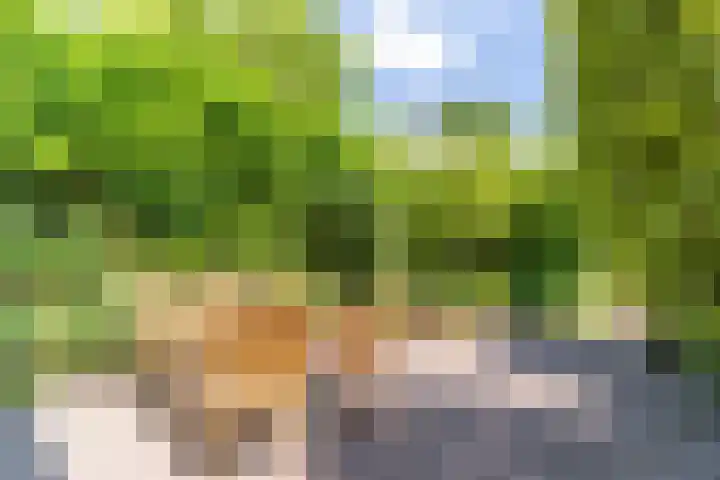 Geerboogerd 71 Delft thumbnail 14