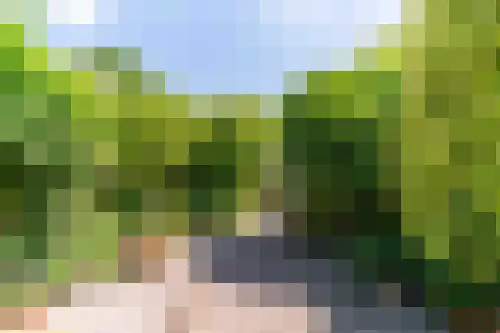 Geerboogerd 71 Delft thumbnail 15
