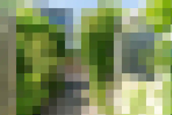 Geerboogerd 71 Delft thumbnail 18