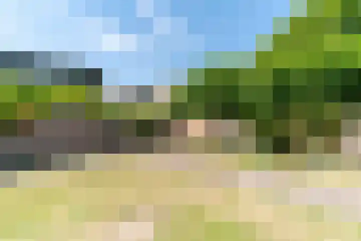 Geerboogerd 71 Delft thumbnail 19