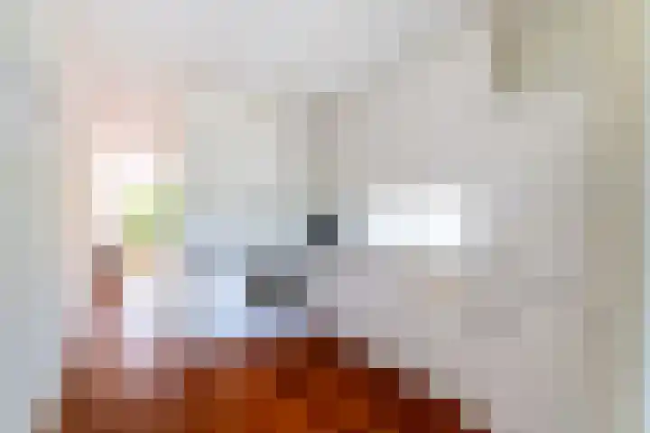 Geerboogerd 71 Delft thumbnail 22