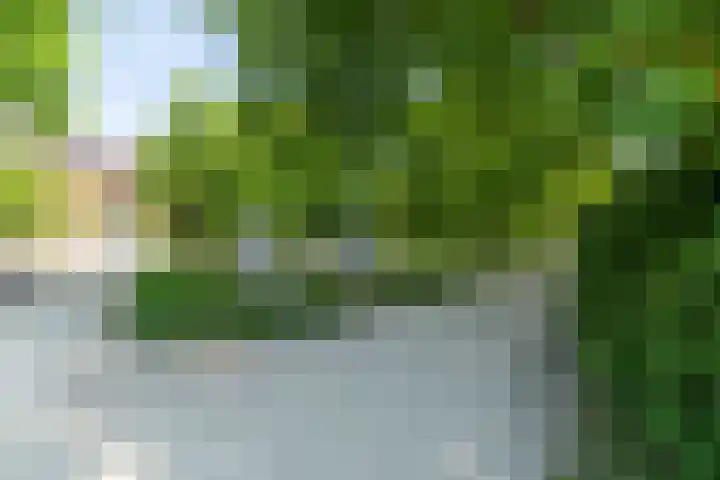 Geerboogerd 71 Delft thumbnail 48