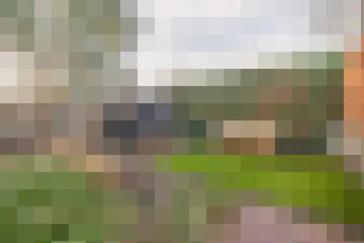 Geerde 2 a Waalwijk thumbnail 19