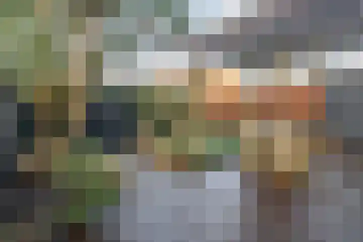 Geerde 2 a Waalwijk thumbnail 20