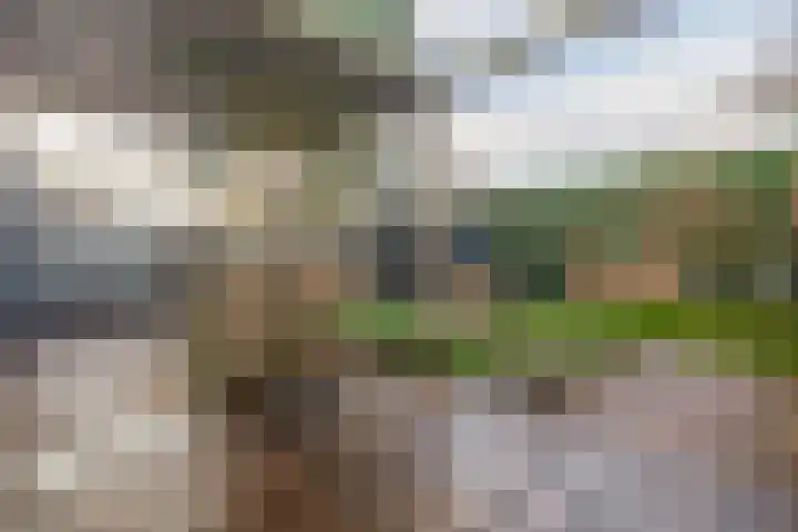 Geerde 2 a Waalwijk thumbnail 21