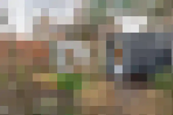 Geerde 2 a Waalwijk thumbnail 23