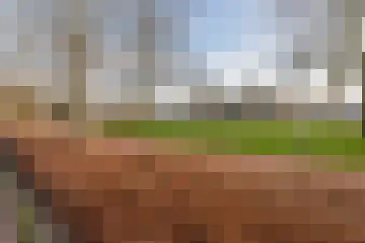 Geerde 2 a Waalwijk thumbnail 24