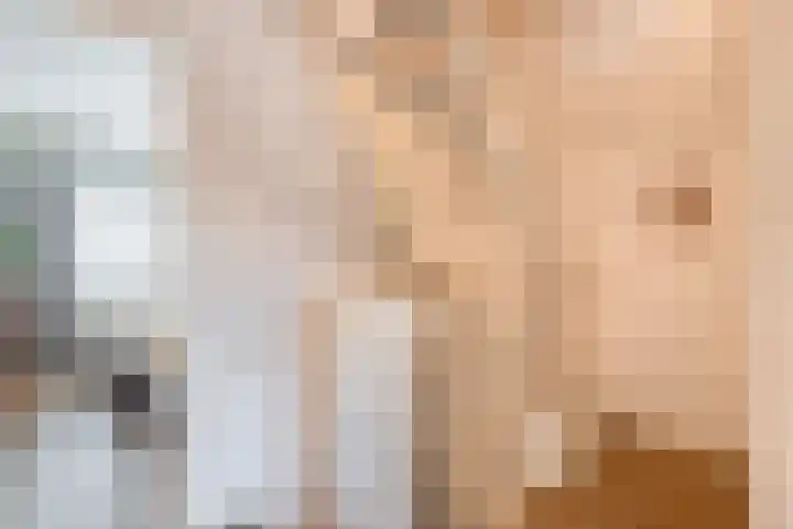 Geerde 2 a Waalwijk thumbnail 25