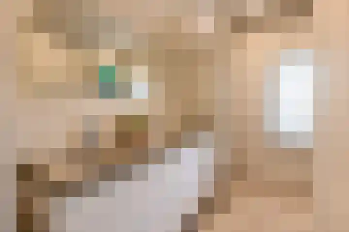 Geerde 2 a Waalwijk thumbnail 4
