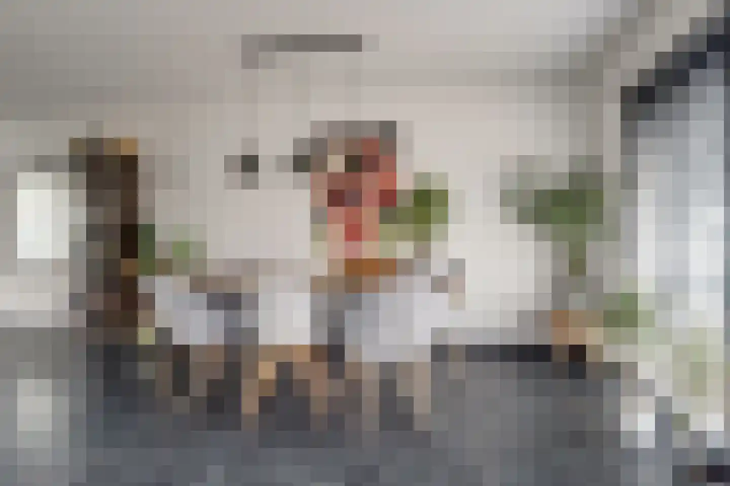 Geerde 58 Waalwijk thumbnail 12