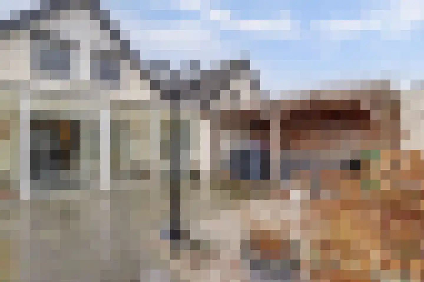 Geerde 58 Waalwijk thumbnail 4